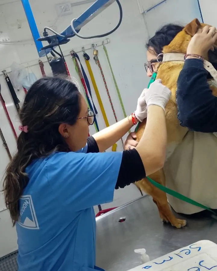 JORNADA DE VACUNACION
