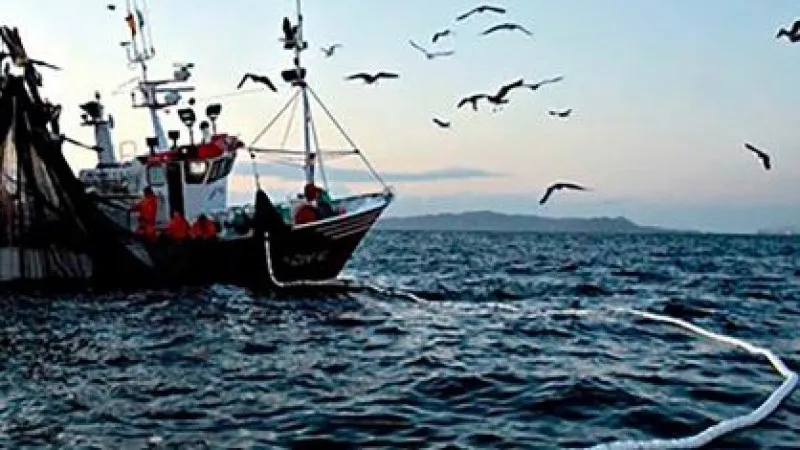 pesca