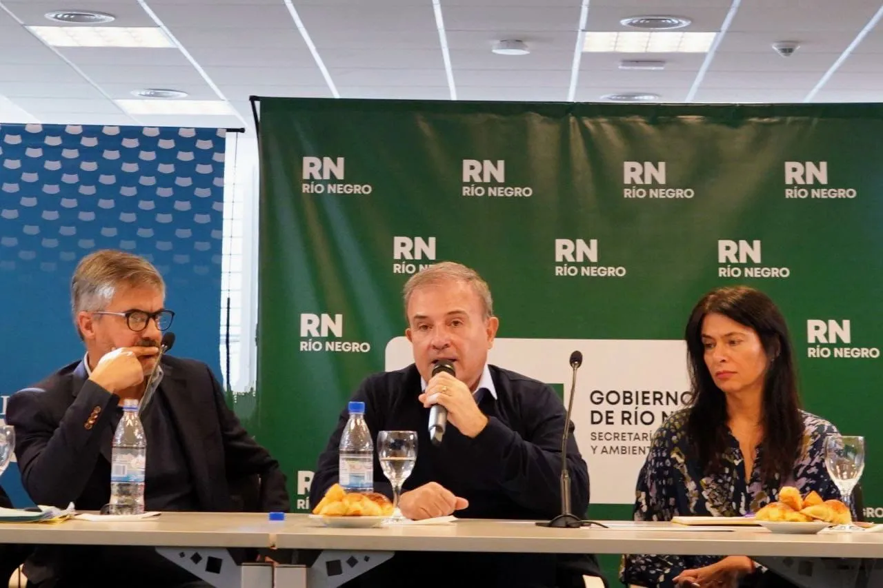 CARLOS VALERI, PEDRO PESATTI Y ANDREA CONFINI