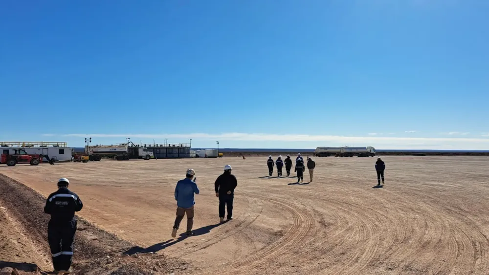 VACA MUERTA, INSPECCION