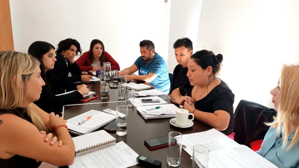 VIEDMA, CONCEJO DELIBERANTE, COMISION