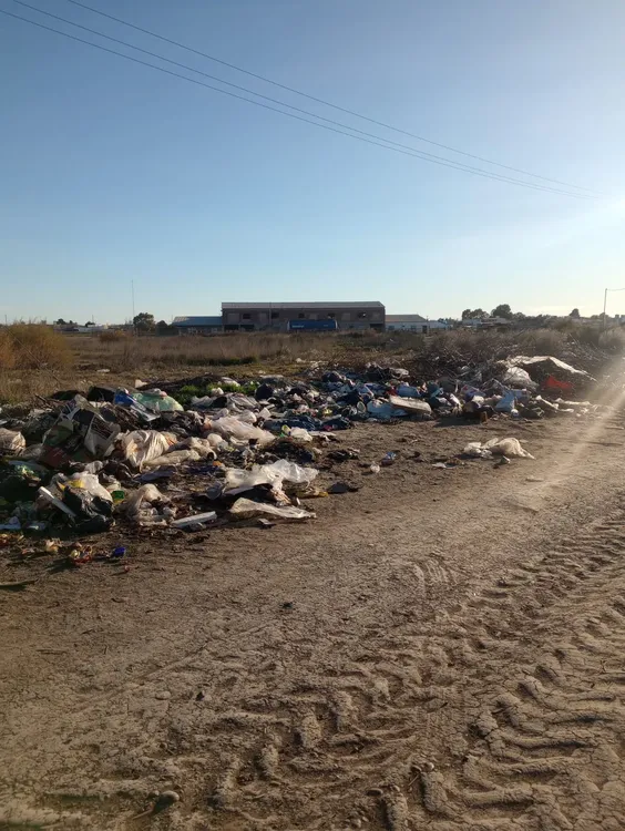 VIEDMA, BASURAL, ACCESO SUR