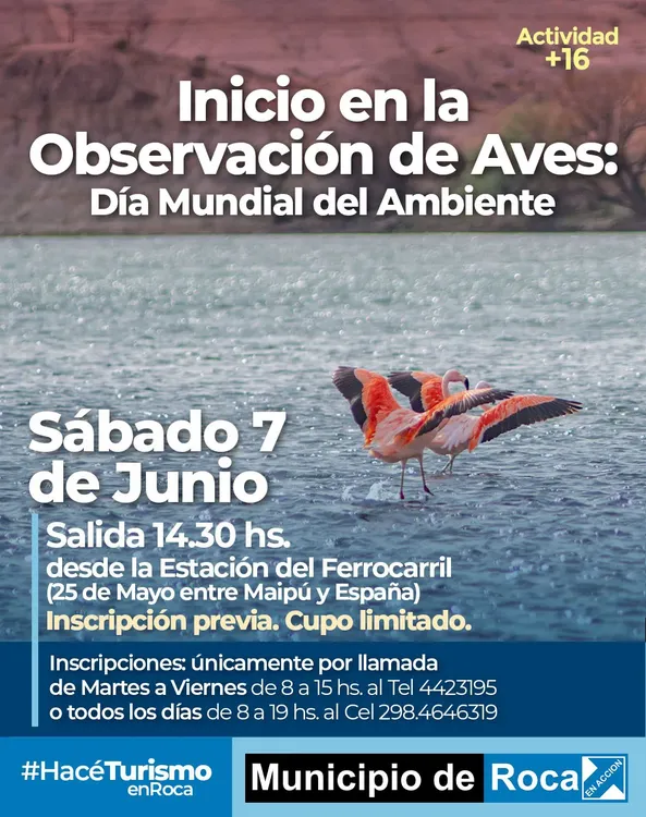 EXCURSION DIA DEL AMBIENTE