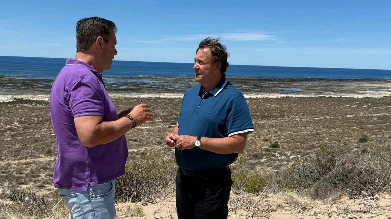 ADRIAN CASADEI, ALBERTO WERETILNECK