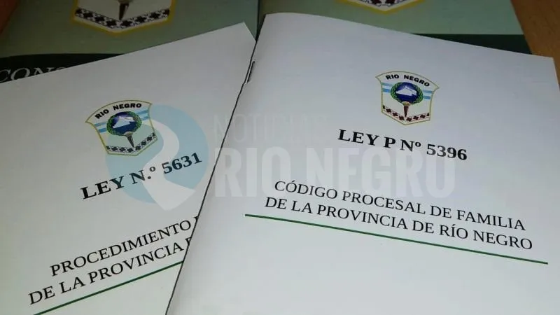 codigo procesal de familia