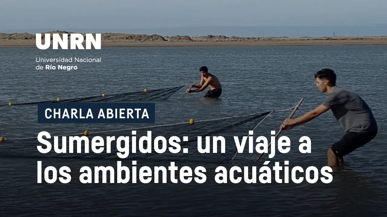 SUMERGIDOS 04