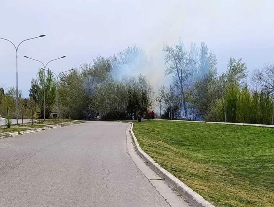 INCENDIO EN LA COSTANERA DE VIEDMA