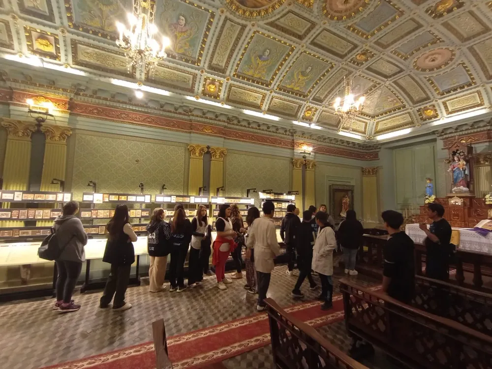 museo viedma