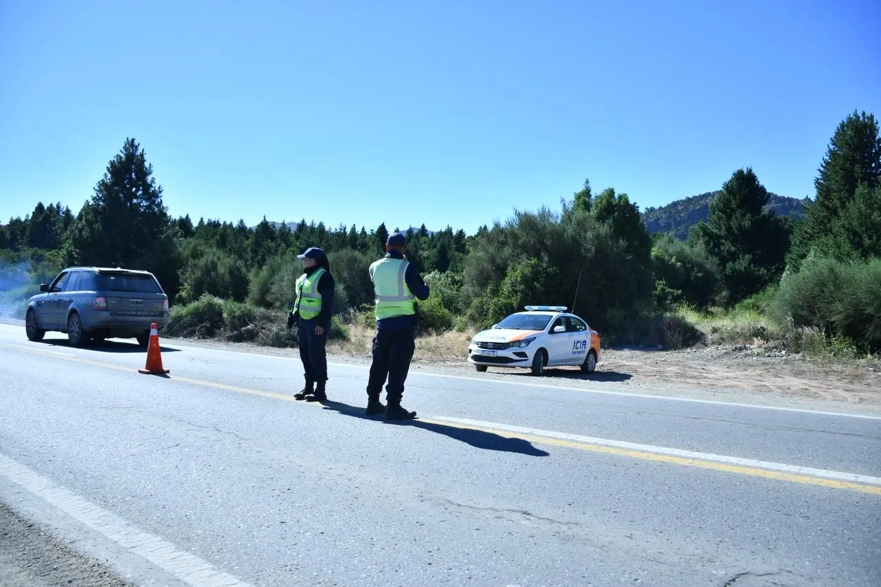 1768588017_2d45a9d7dc36632deb0a