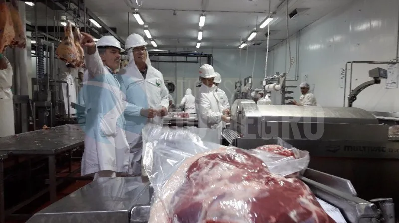 carne carne frigorifico