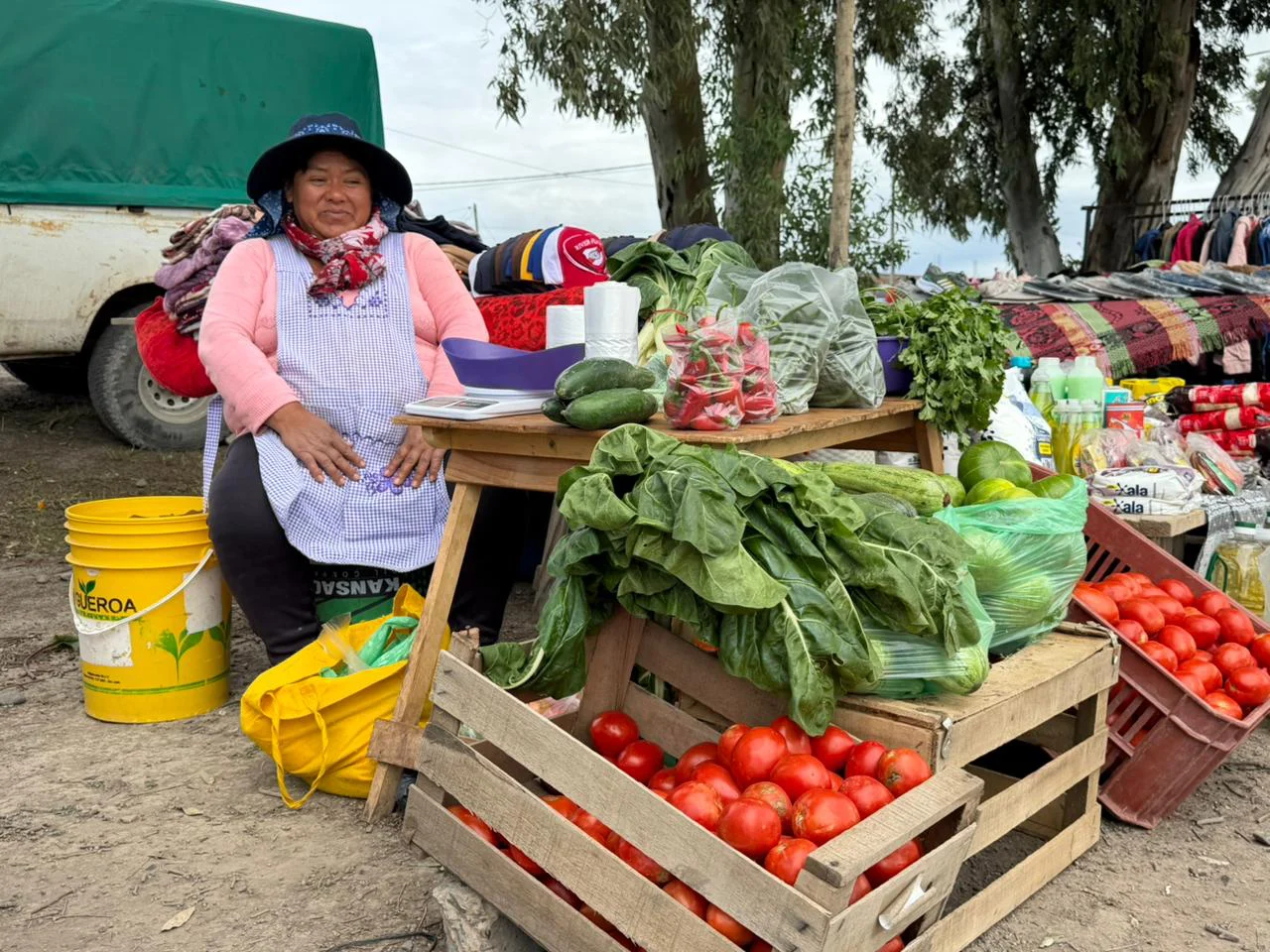FERIA DE LOS EUCALIPTOS SAN JAVIER
