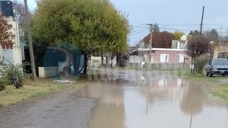 el condor calle anegada