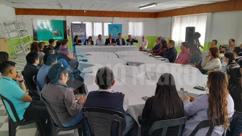 ente de desarrollo de la region sur