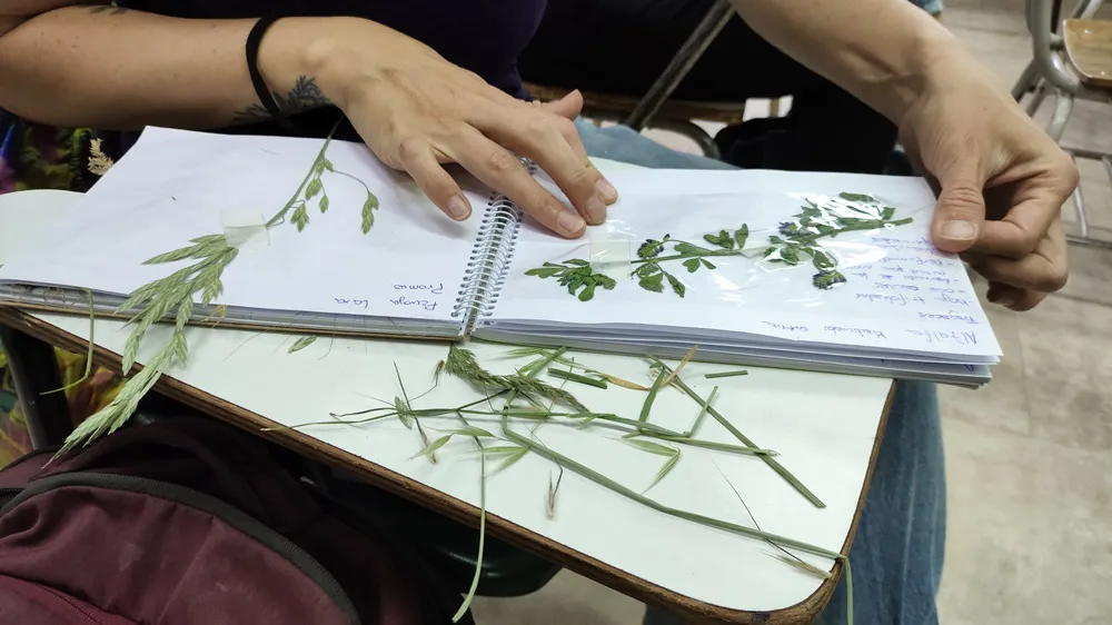 Tecnicatura Espacios Verdes1