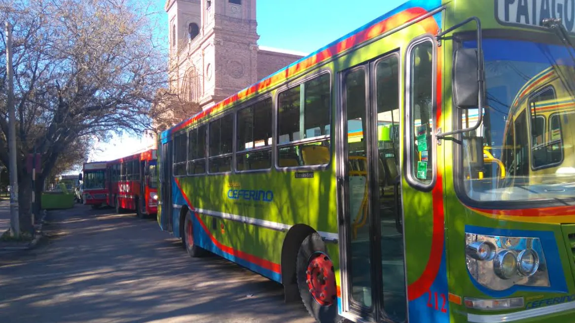 VIEDMA, COLECTIVOS