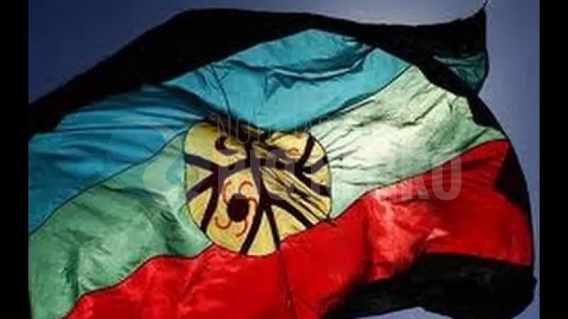 bandera pueblo mapuche