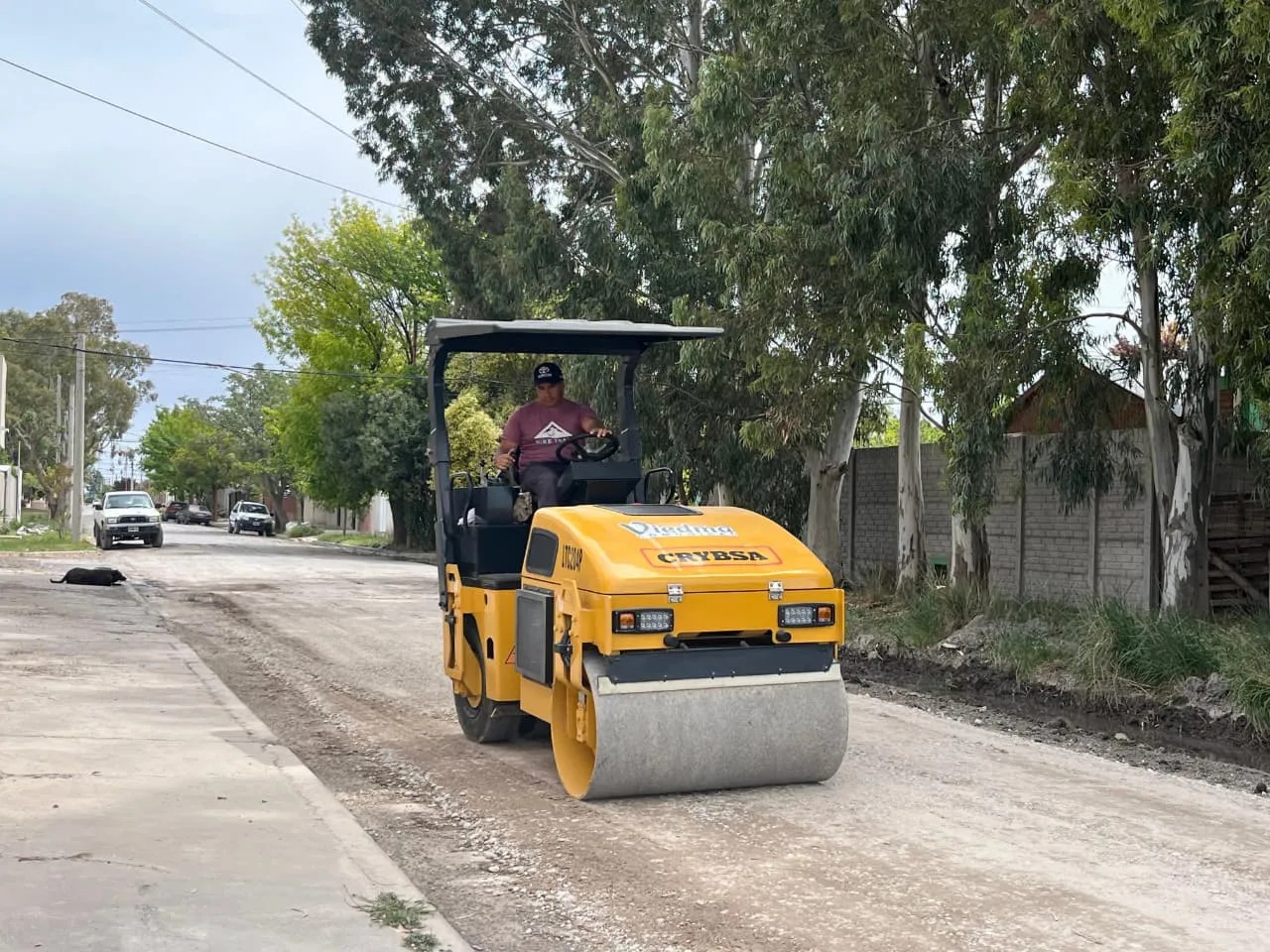 VIEDMA LIMPIA CON LA COMUNIDAD