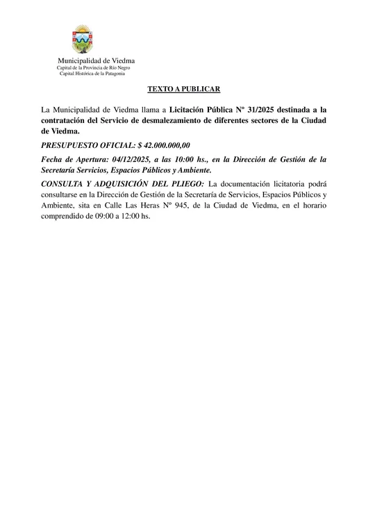 Licitacion-Pública-N°-31-2025