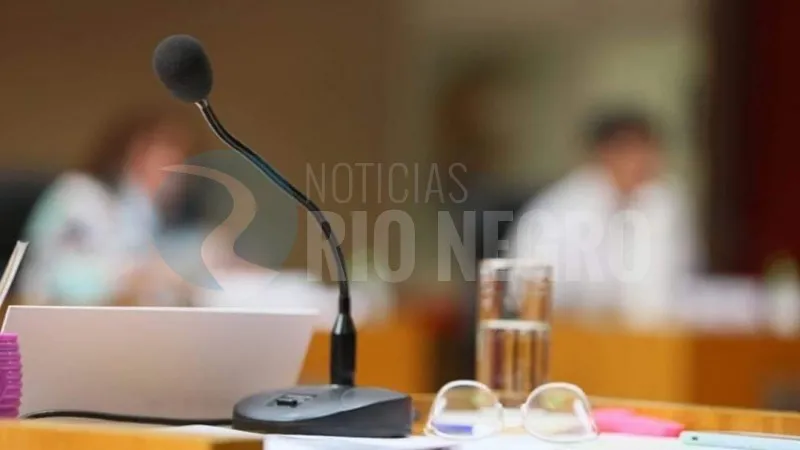 viedma Concejo Deliberante