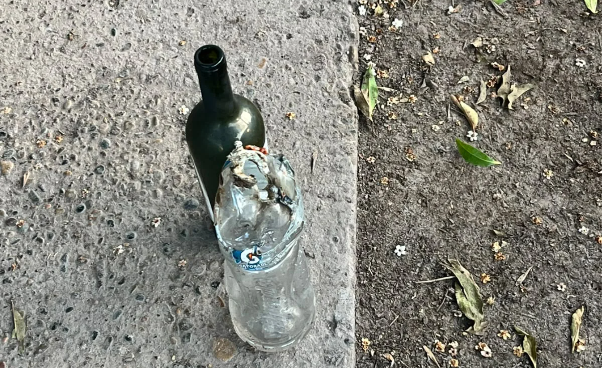 AUTO VIEDMA BANDALISMO INCENDIO MOLOTOV