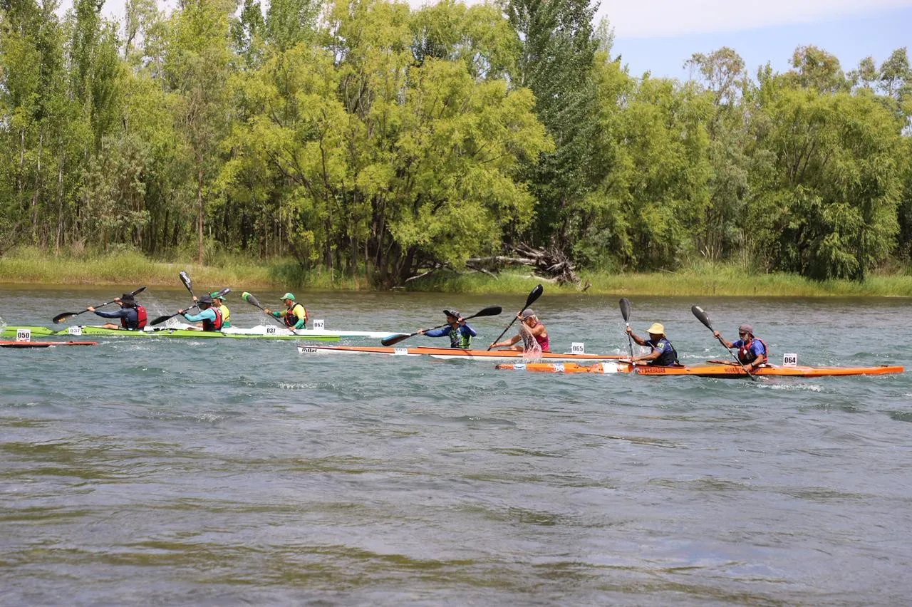 imagen_2026-01-08_235249133