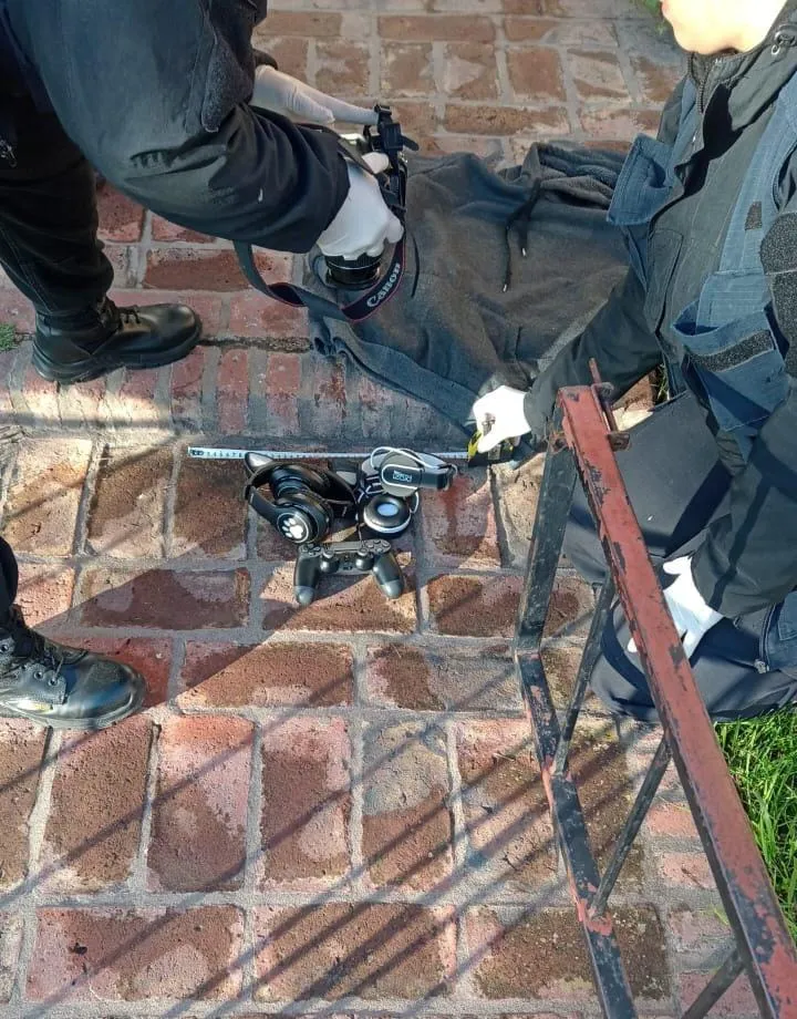 viedma, elementos robados