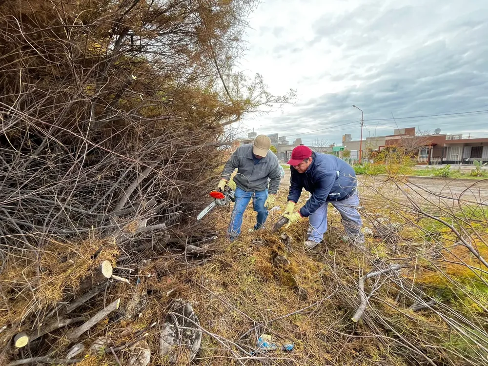 Viedma Limpia en Comunidad