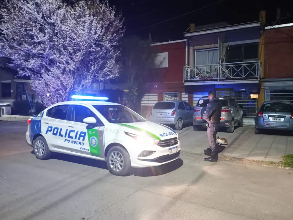 PATRULLERO DE VIEDMA