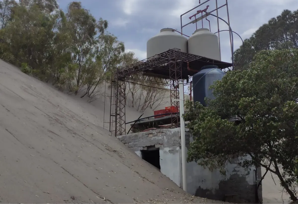 BAHIA CREEK MEDANOS