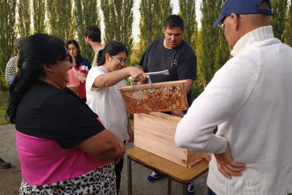 GENERAL CONESA APICULTURA