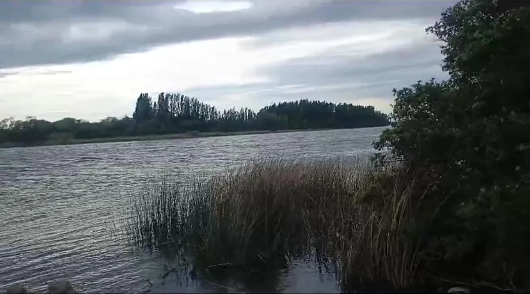 rio negro