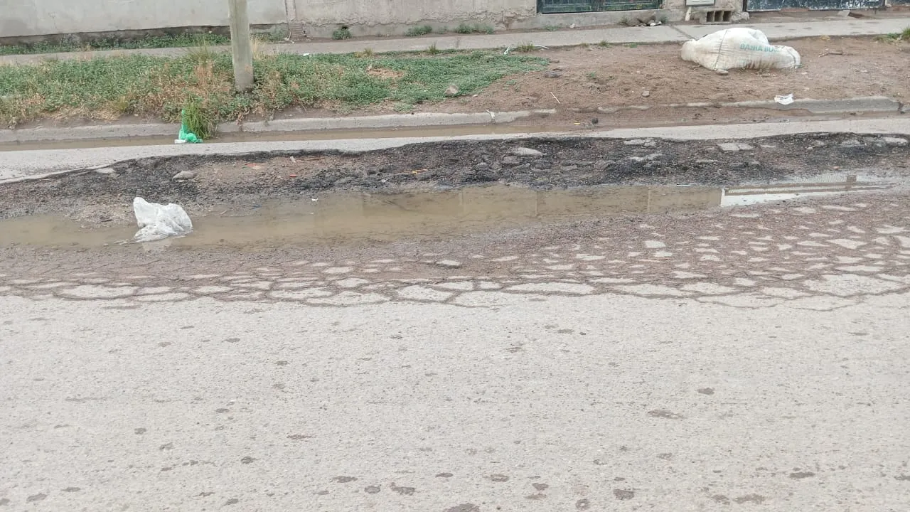 VIEDMA CALLE 20 BACHE