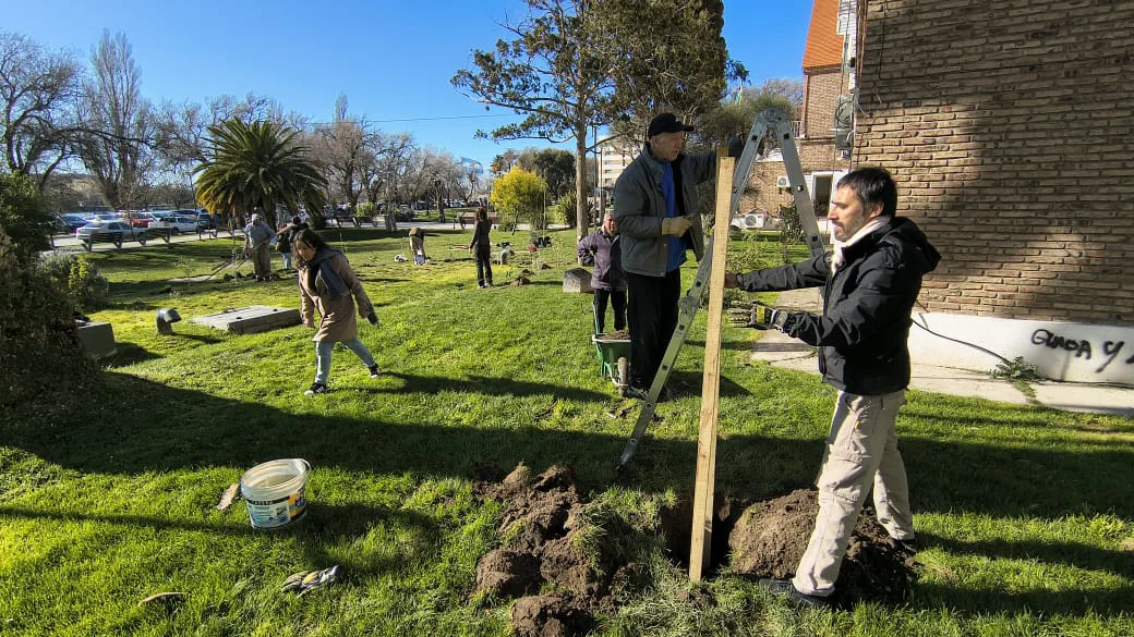REFORESTACION PARQUE DEL BICENTENARIO