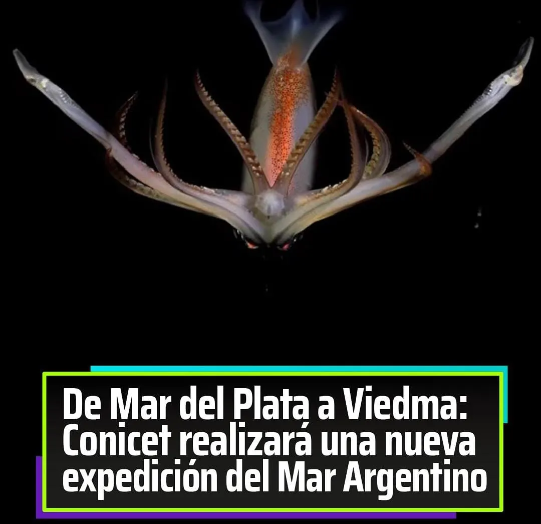 STREAMING SUBMARINO