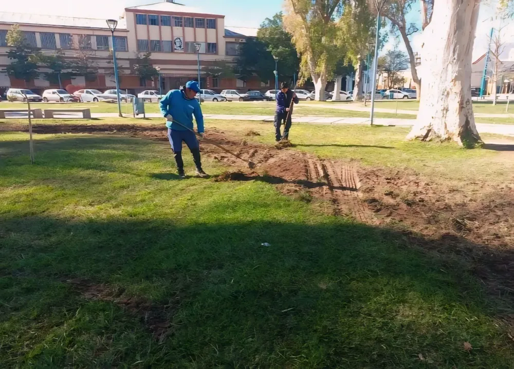 SIEMBRA EN LA PLAZA BELGRANO DE GENERAL ROCA