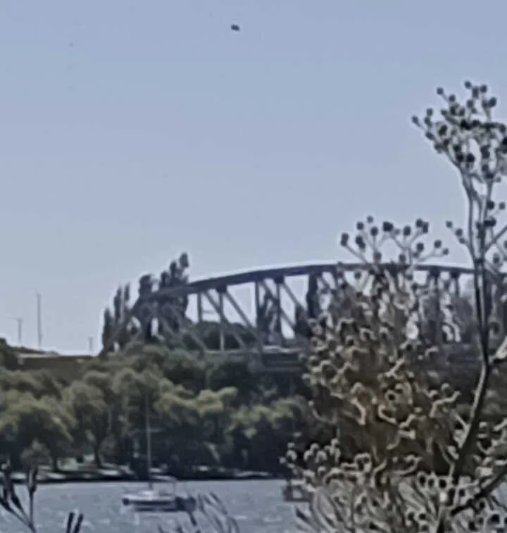 OVNI