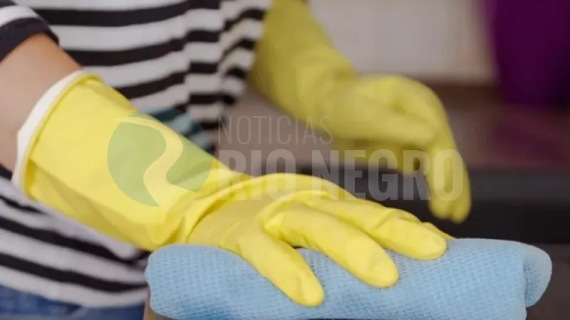 DOMESTICA