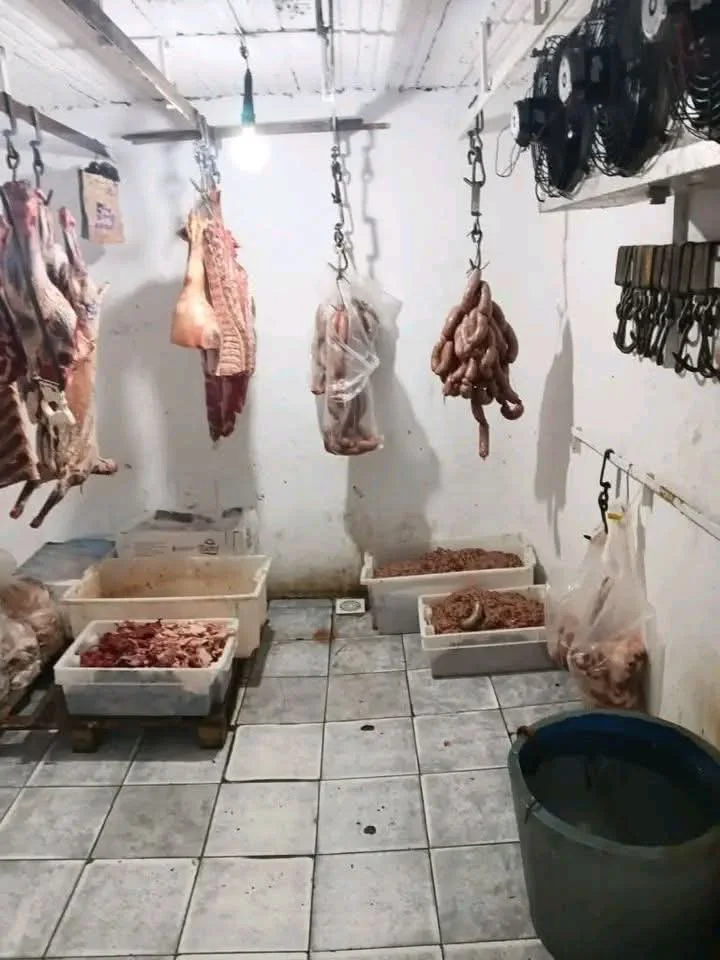 VIEDMA CARNE DECOMISO