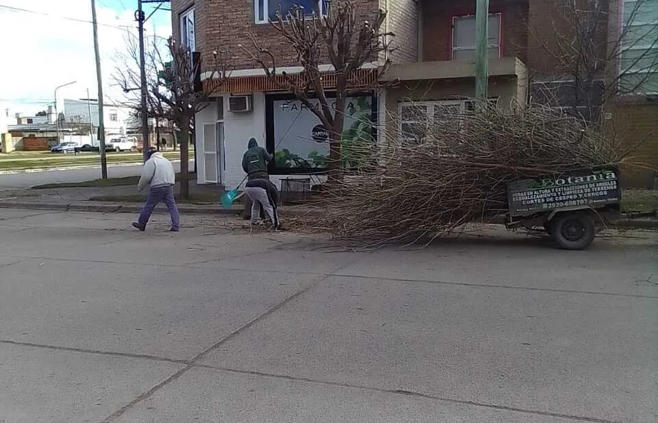 PODA REALIZADA POR EL PERSONAL DE BOTANIA VIEDMA