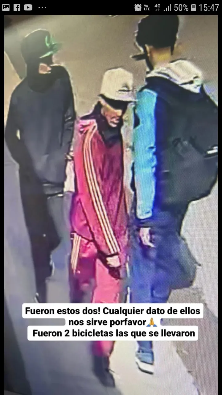 LADRONES DE BIBICLETAS EN VIEDMA
