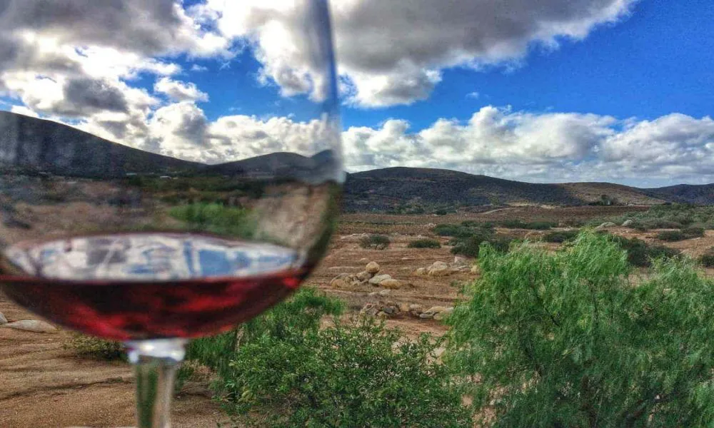 vino-paisaje_WanderWine