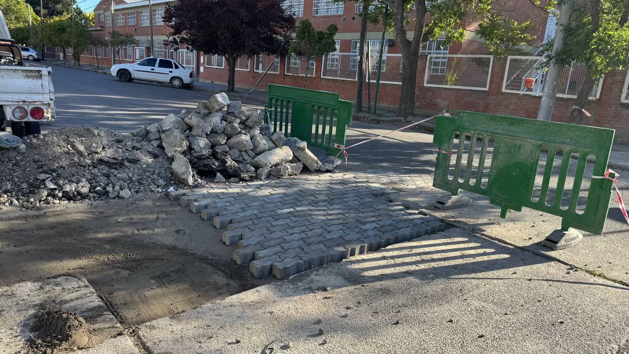viedma, calle, adoquines