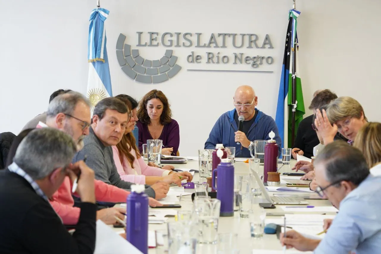 LEGISLATURA, COMISION DE ASUNTOS SOCIALES