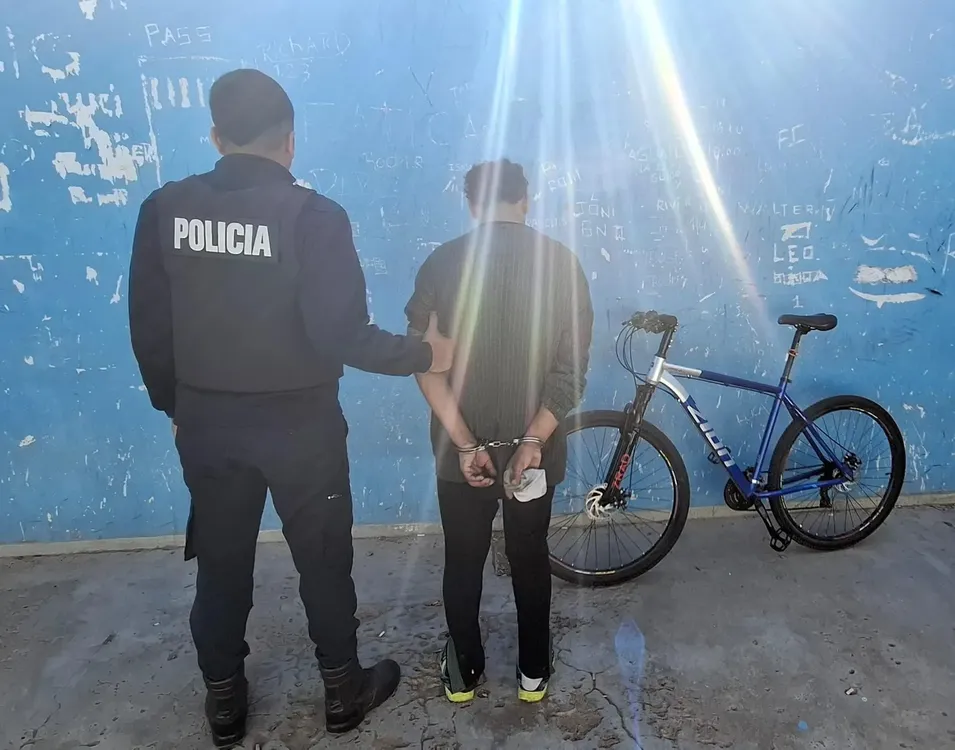 VIEDMA, BICICLETA ROBADA