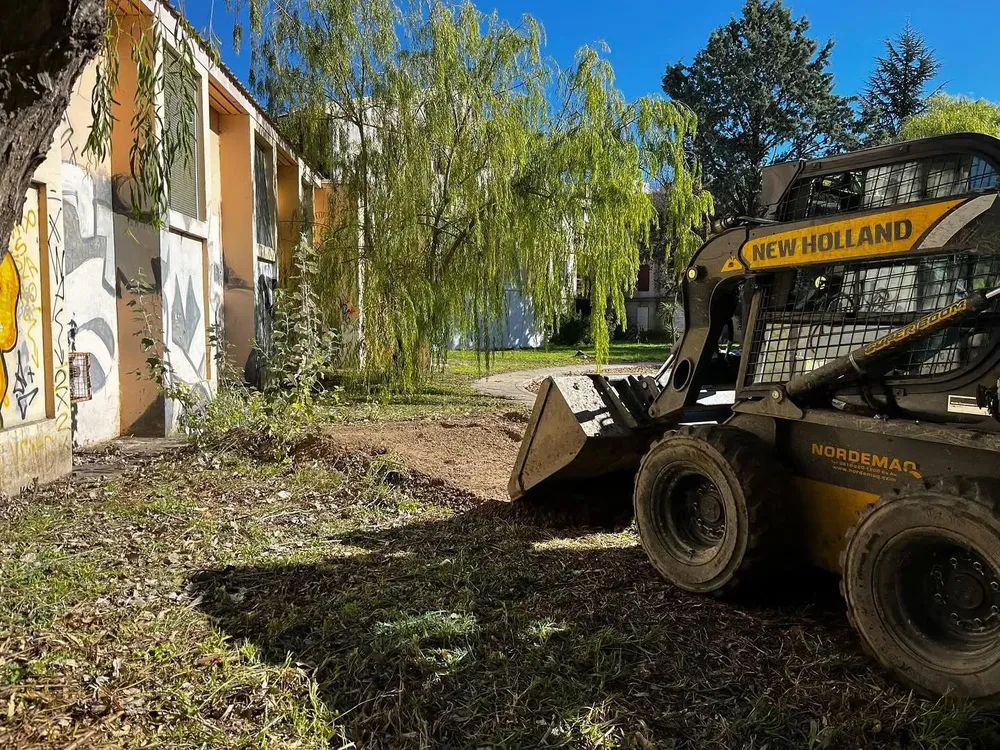 Viedma limpia en comunidad