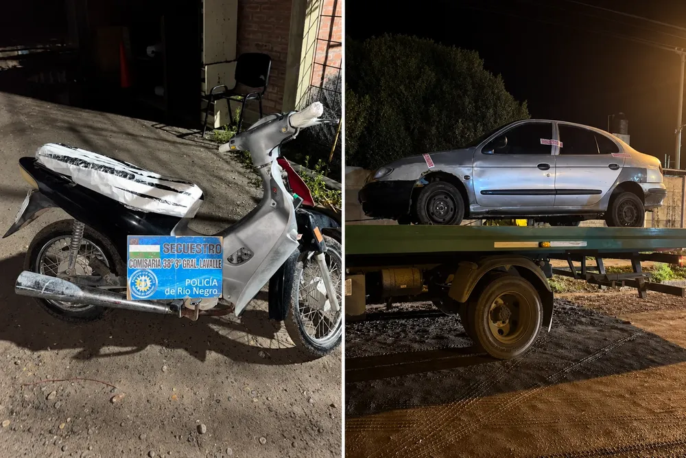 VIEDMA VEHICULOS SECUESTRADOS