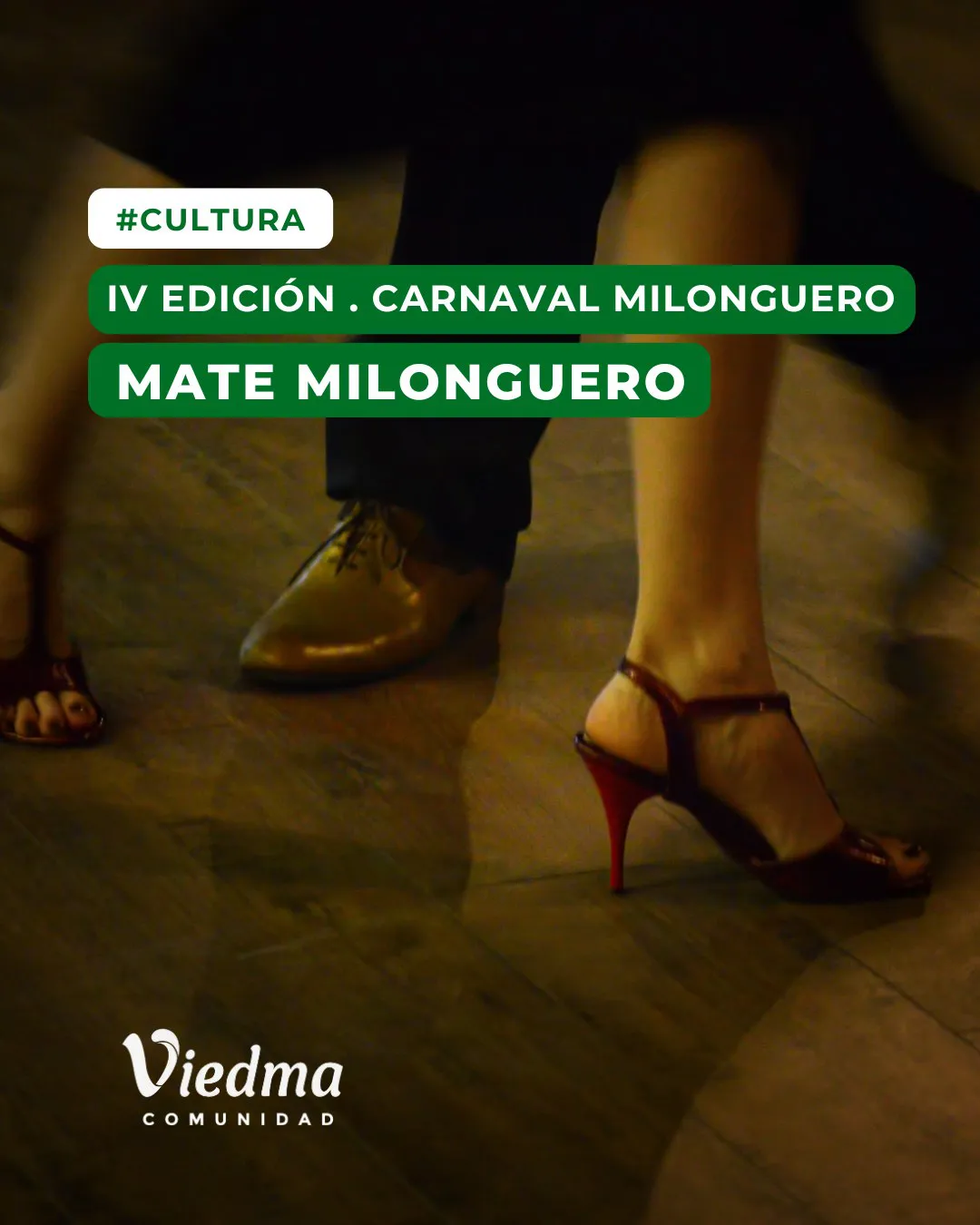 WhatsApp Image 2026-02-11 at 12.17.09 PM