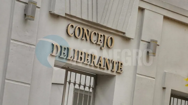 viedma Concejo Deliberante