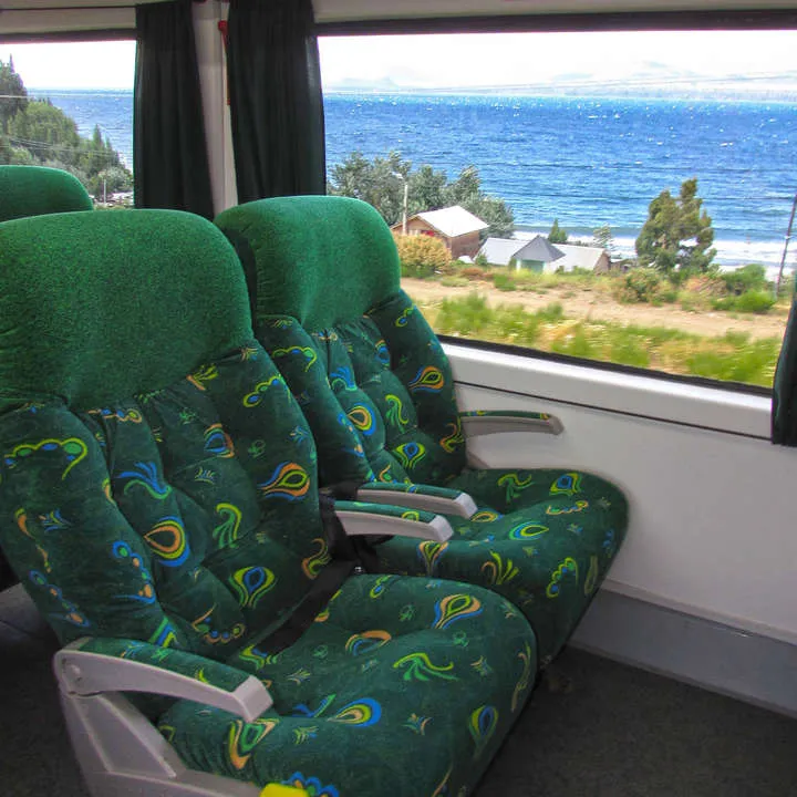 TREN PATAGONICO