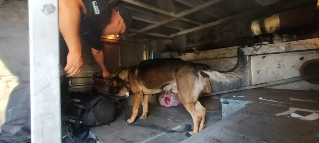 WhatsApp-Image-2026-01-29-at-10.24.14-2-1-1024x461